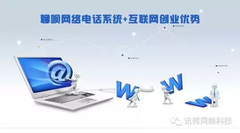 國內(nèi)網(wǎng)絡(luò)電話與國外對比分析